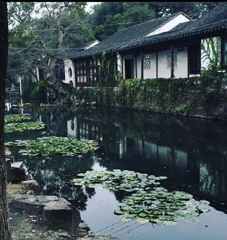 A peaceful scene of a traditional Asian-style house with white walls and dark wooden accents beside a calm pond with lily pads, surrounded by trees.