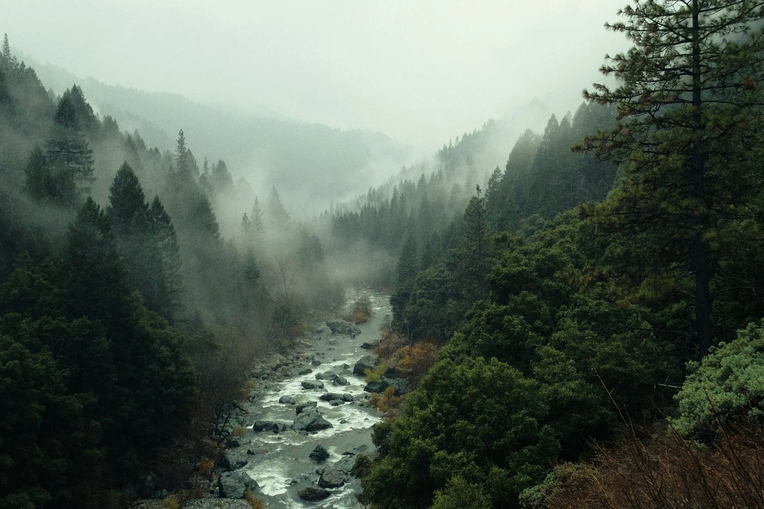 A misty mountain landscape with a flowing river surrounded by dense evergreen trees.